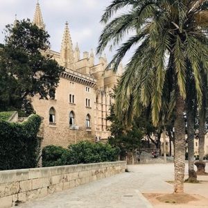 Meet your Posher, Elise